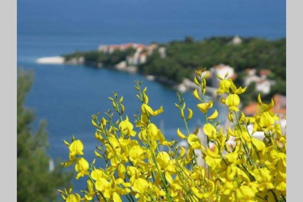 Seaview Apartment Sparkle Iskra - Povlja, Brac Povlja  Exterior foto